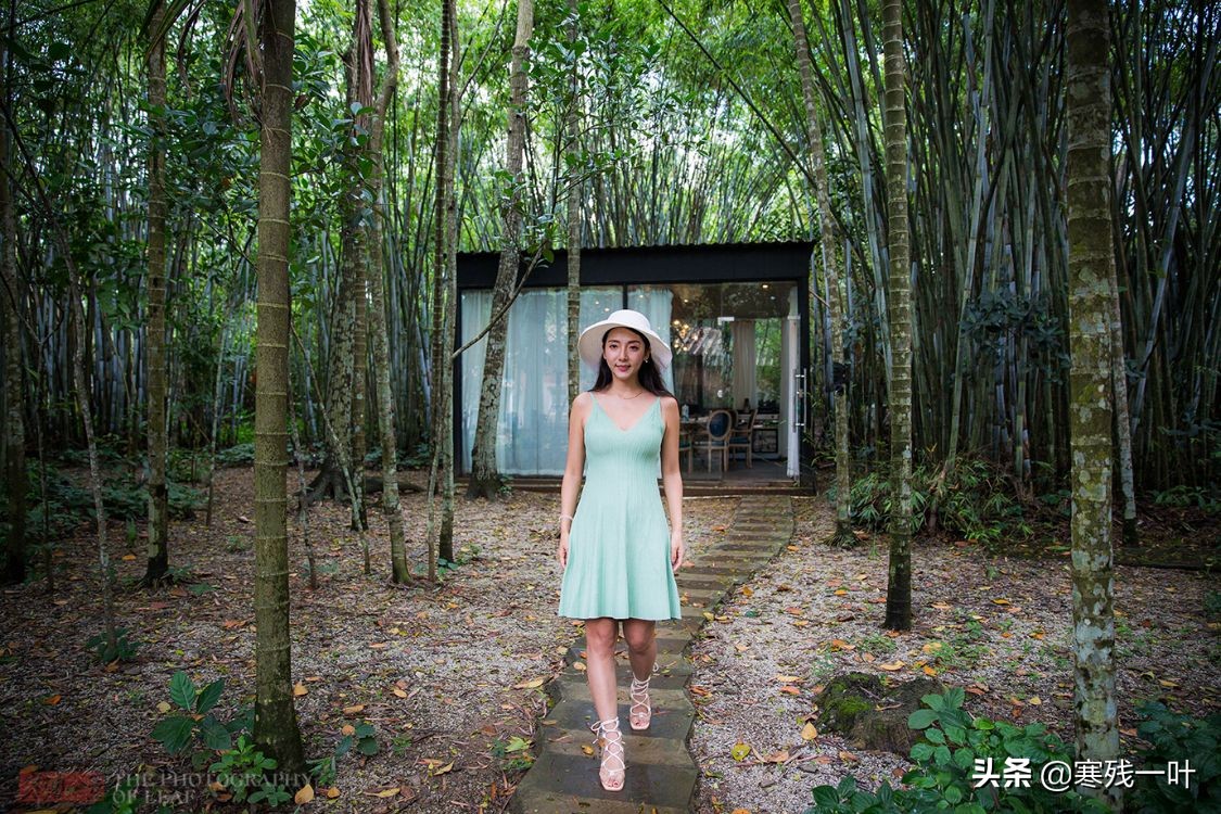 正宗海南文昌鸡,海南正宗文昌鸡吃什么长大的