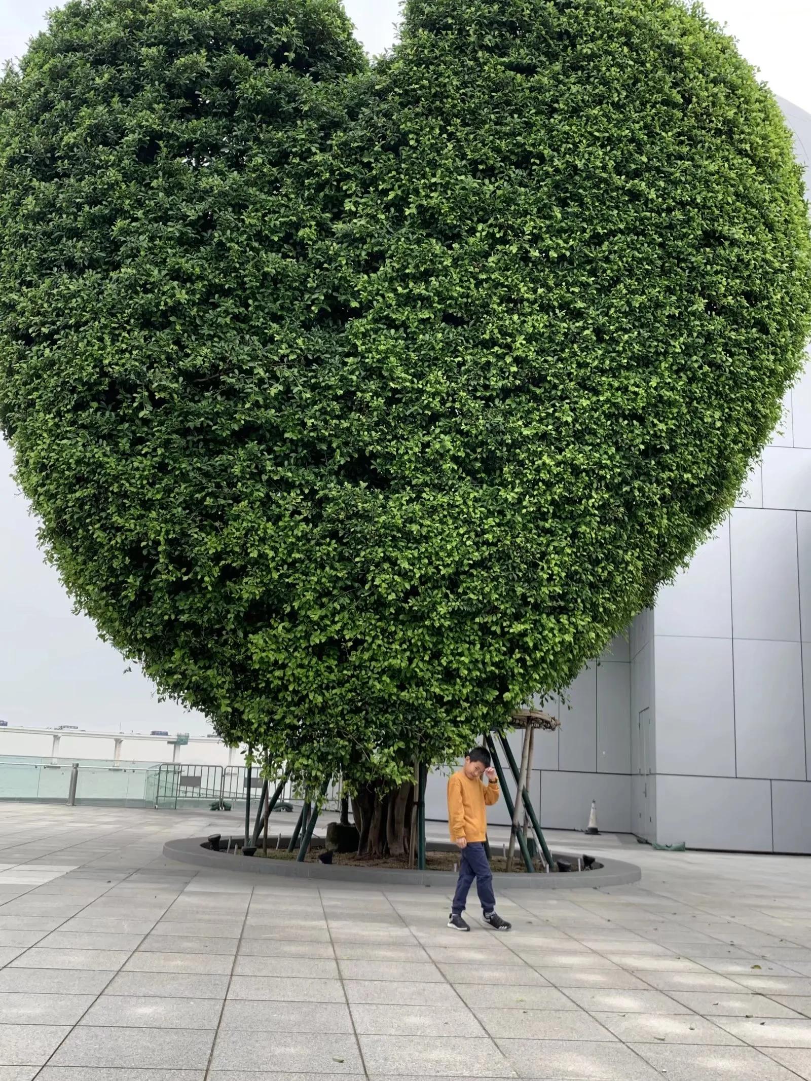 有人问我珠海澳门(珠澳)哪里好玩?