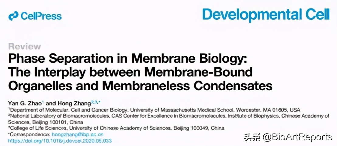 双十一特别献礼：五篇论文齐发！相分离研究再上高楼