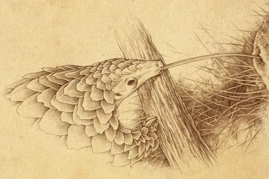 我不是药神真的能救吗,我不是药神穷病救不了台词