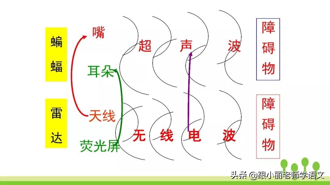 语文思维导图四年级上蝙蝠和雷达,人教版四年级上册蝙蝠和雷达朗读