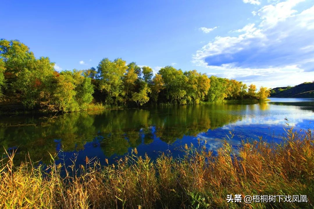 2017年几个山东人到内蒙古盗墓，租用一台挖掘机，称是“挖沙子”