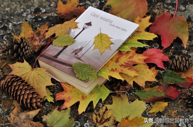 2021年12月英语四级翻译,2021年6月英语四级翻译真题