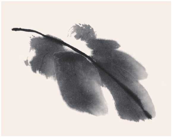 国画牡丹叶子的画法一窍不通,如何画牡丹花叶子和枝干国画视频