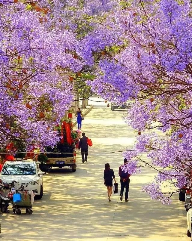 成都这座古城从不缺幻想和故事,四川藏着一个静谧古城