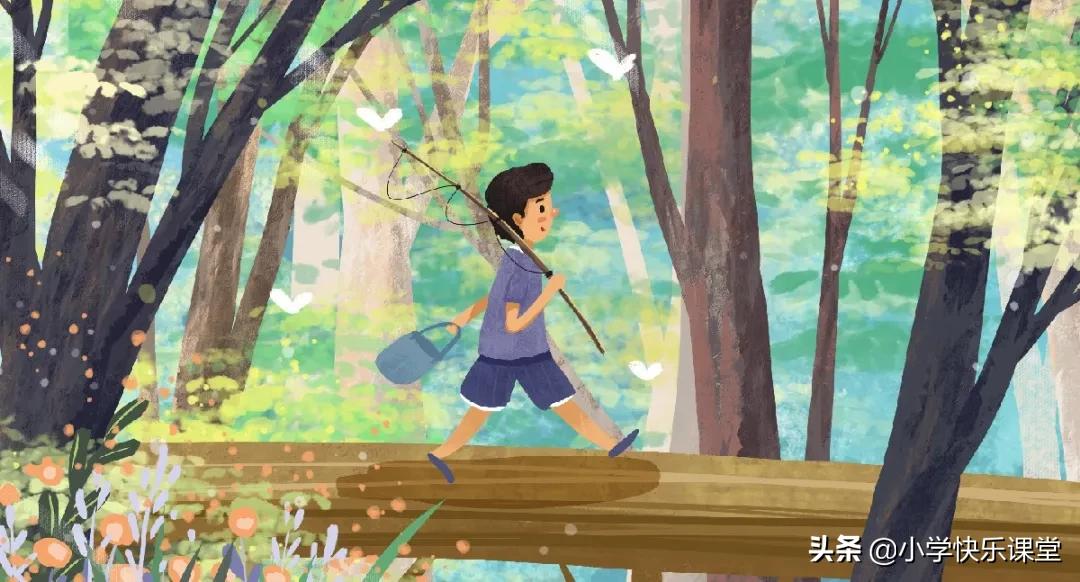 小布头奇遇记最优美段落,小布头奇遇记故事内容简介20字