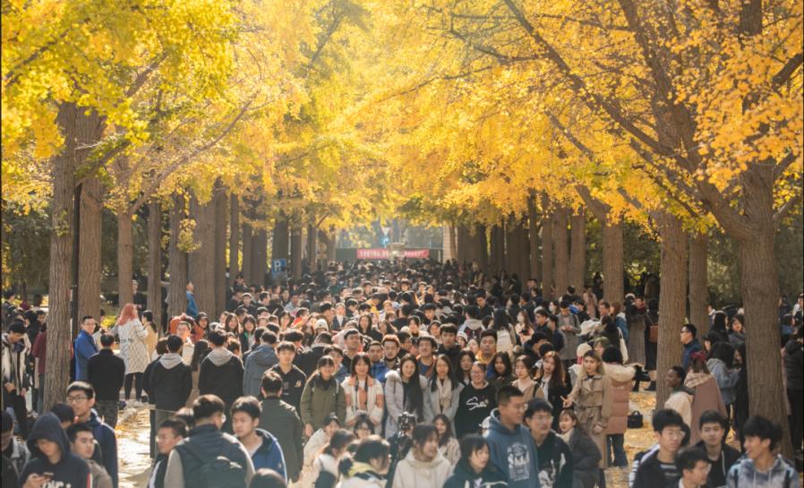 北京最美地铁学校,北京大学最美的景点