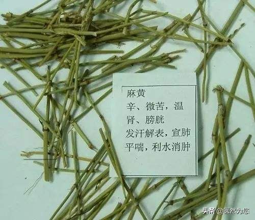 无汗用麻黄有汗用桂枝,麻黄有汗用还是无汗用