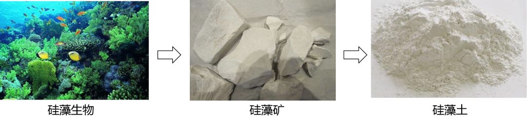 发霉墙面翻新步骤以及成本,解决墙面发霉的最好方法