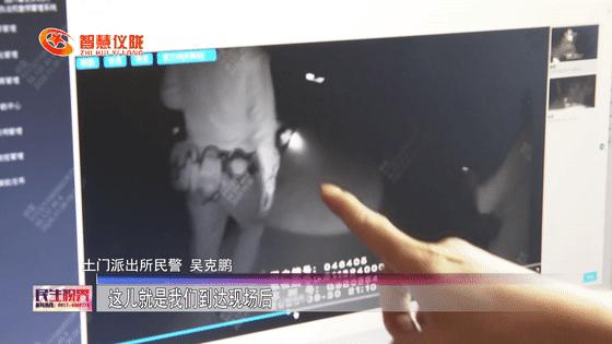 癞疙宝算不算动物,癞疙宝是国家保护动物吗