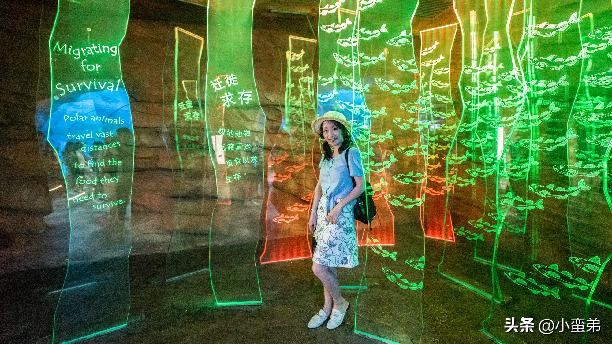 香港巡礼|是谁！敢拿水枪给20岁的海贼王庆生？