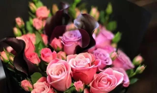 100种玫瑰花品种大全,玫瑰花有哪些品种大全