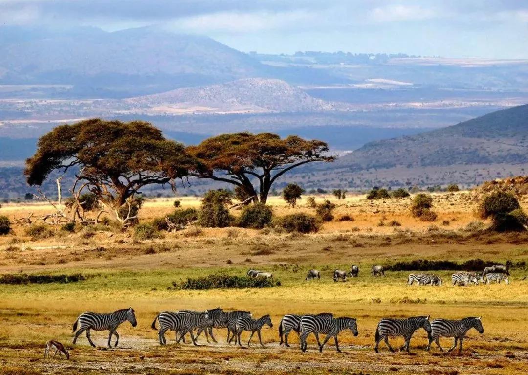 驻外两年，我在非洲买了块地，却不想再回去了