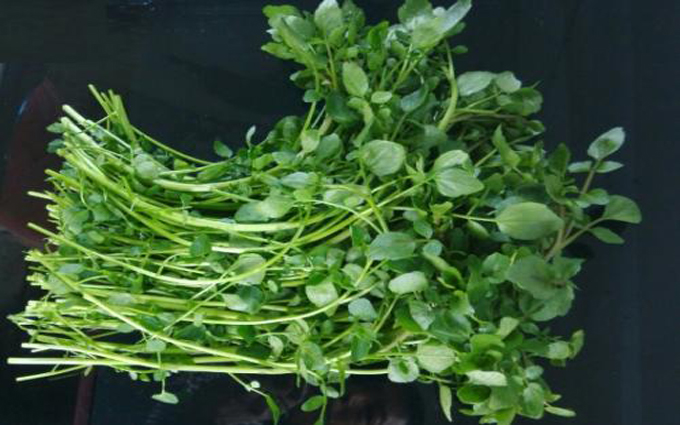 香港值得逛的街区,香港生活购物街