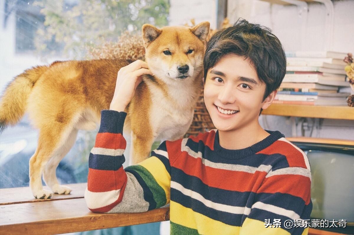 张新成为什么是艺考之神,张新成新戏光芒