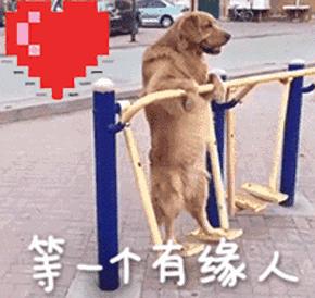 虎扑直男真是飘了:“如果奶茶妹妹离婚了,你愿意接盘吗?”