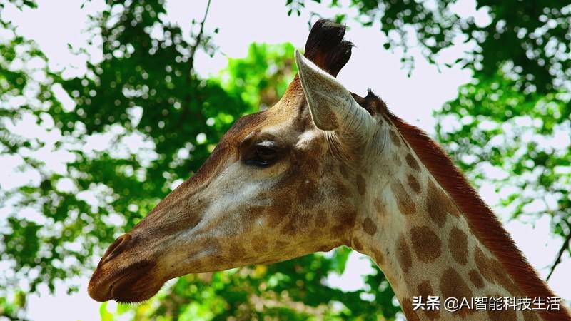 泰捷we40和we30pro哪个好,泰捷we40与泰捷we40a有什么区别