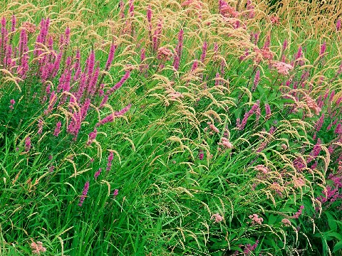 心里憋屈的伤感句子,心情压抑憋屈的句子伤感