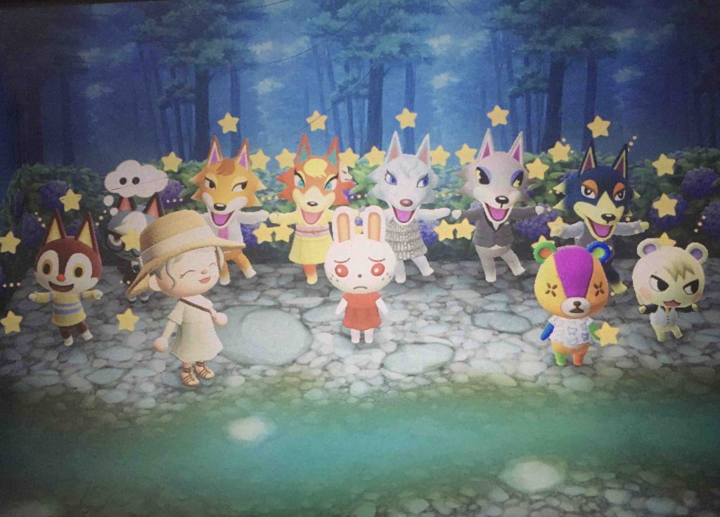 动物森友会小岛装修新手,动物森友会卧室装修教程