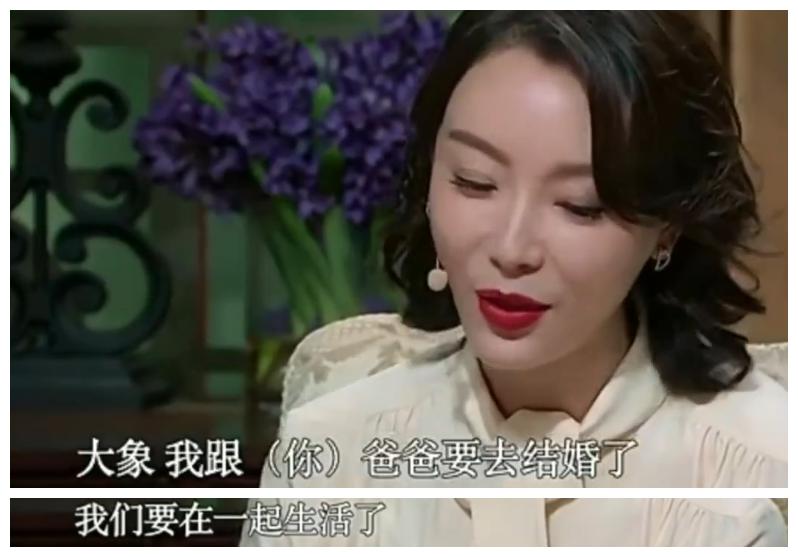 陈数与赵胤胤,陈数与赵胤胤门当户对