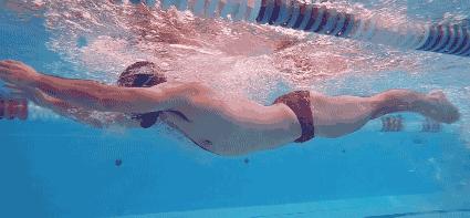 蛙泳时推动身体前进的动力,8个步骤教你蛙泳技术
