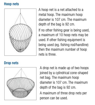 澳大利亚螃蟹哪里最好,澳大利亚黄金海岸抓螃蟹的地方