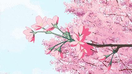 厦门婚纱拍摄地方推荐,旅游婚纱摄影推荐厦门