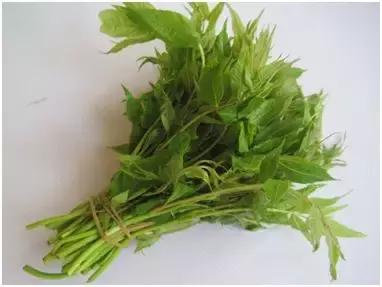 所谓的发物有哪些,科普发物到底是个什么食物