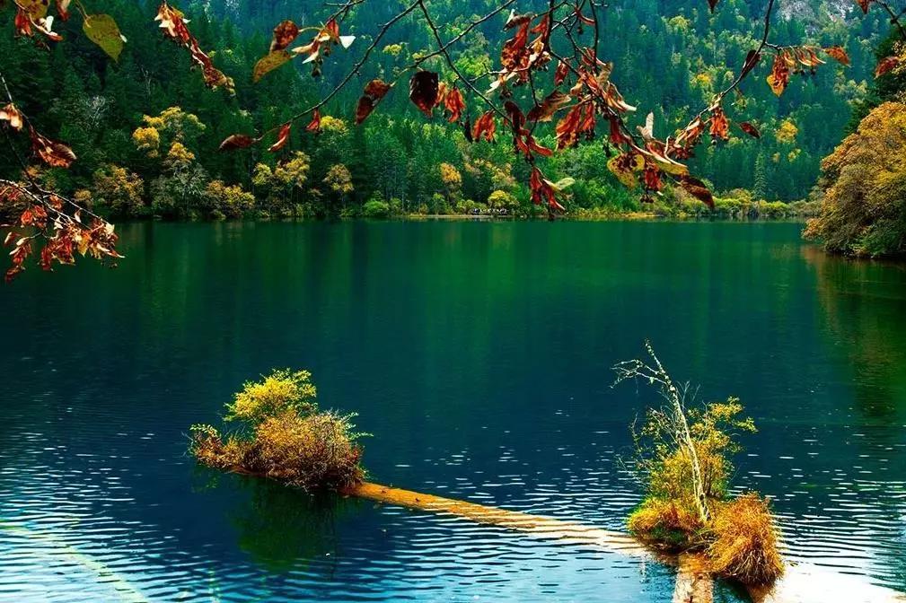 云游中国四川,云游四川