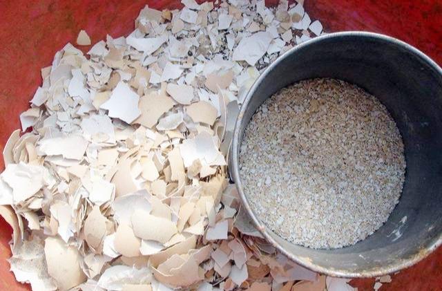 自制氮磷钾养花肥,自制磷钾肥花肥最简单的方法