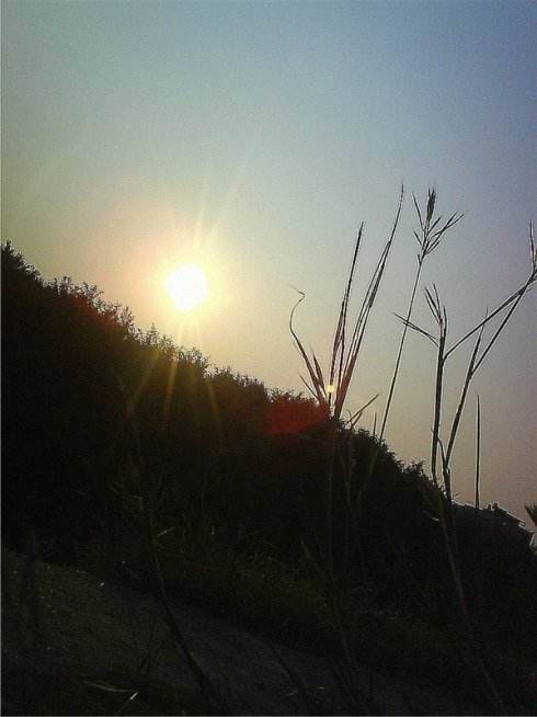 进入了抑郁症怎么办,从抑郁症里走出来的人会怎么样