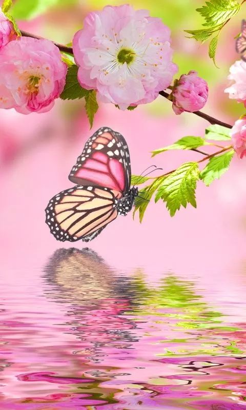 世界是你的也是我的但终归是你的,世界是你的也是我们的