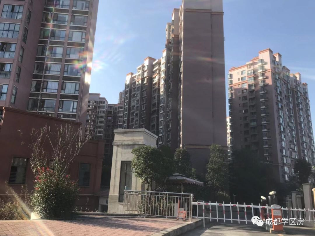 天府新区私立小学招生简章,天府新区第六小学对应初中