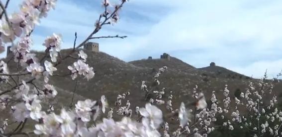 又是一年春光好完整版,又是一年春光好文明旅游