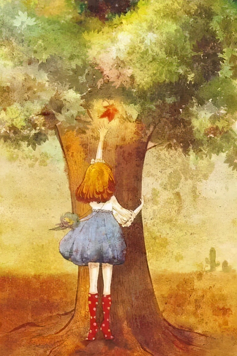 16岁身无分文可以去哪里,16岁的我不上学能干什么