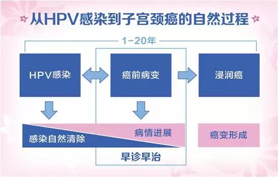 女性在家“自取样”即可做宫颈癌筛查，广东这3城市女性可免费体验