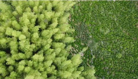 早安营口最新版,早安营口2020年1月19日