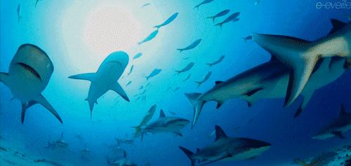 徐州城建vs临沂城建,徐州的城建排名第几