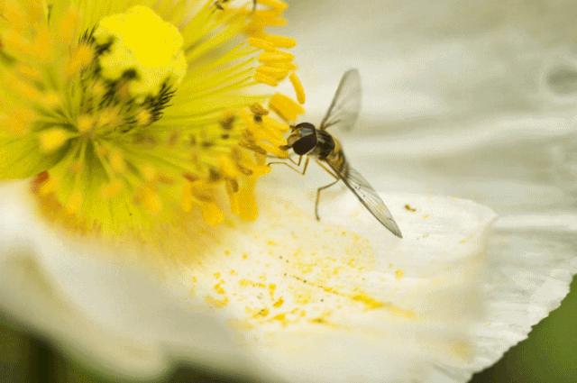 鼻炎长期治不好的危害,鼻炎好几年怎么治才能彻底治愈