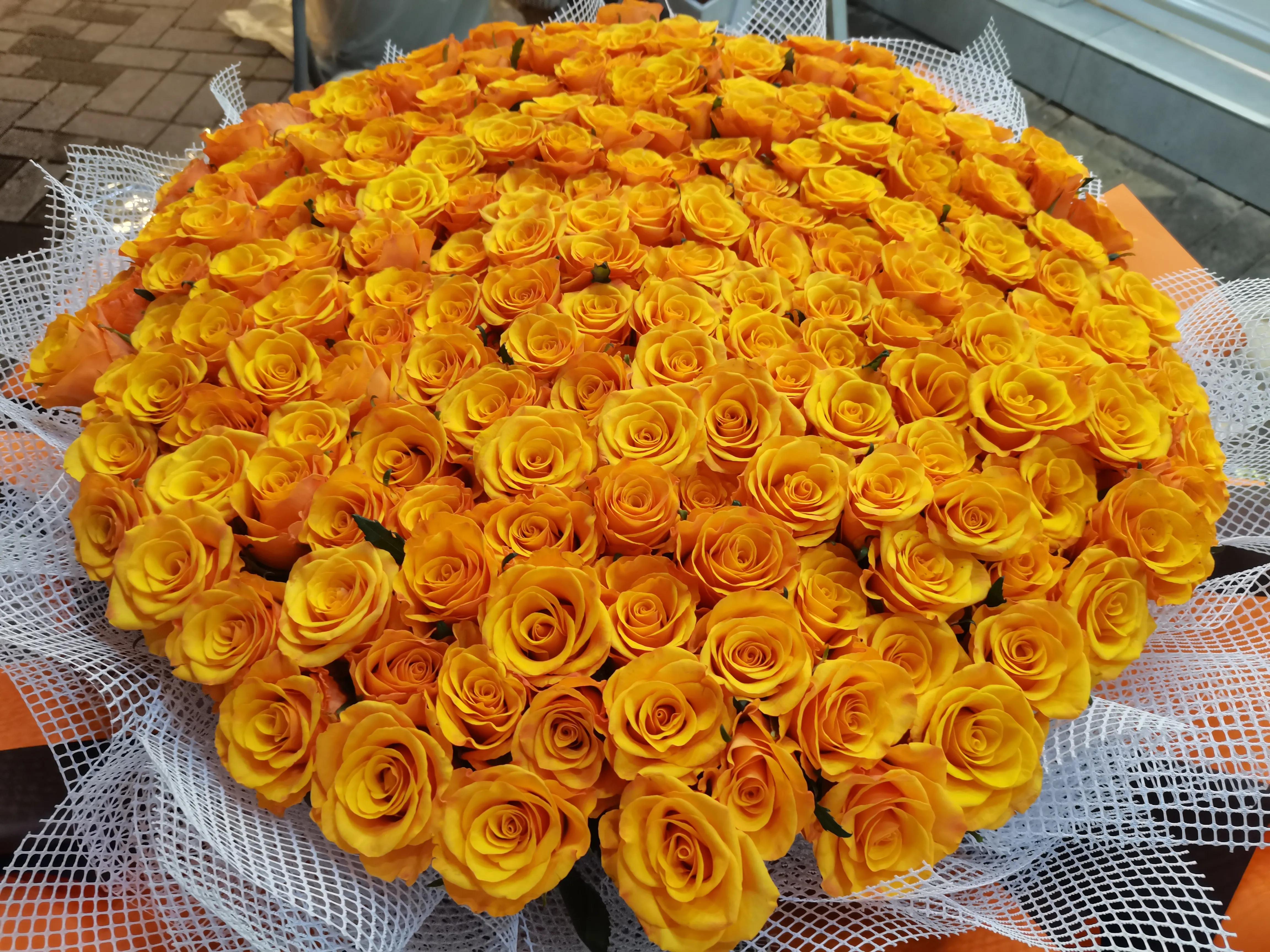 18朵白玫瑰的花语和寓意,18朵黄玫瑰花的花语大全