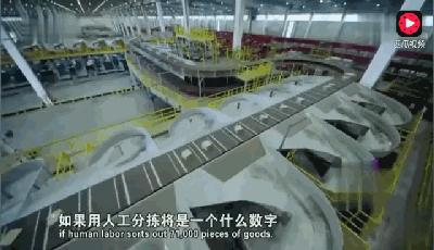 顺丰快递为啥这么快?曝光1小时分拣7.1万件的秘密