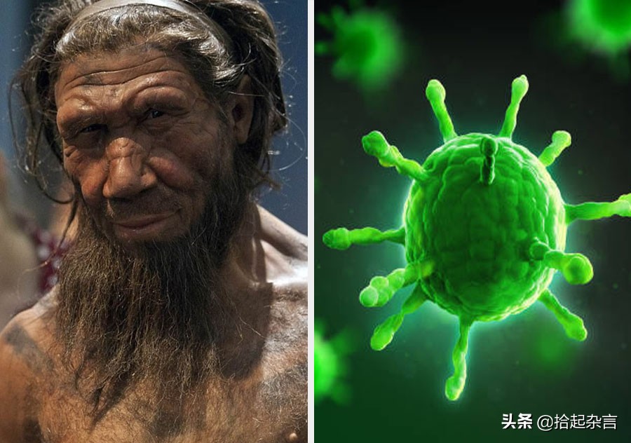 神秘的基因的秘密,神秘的遗传基因