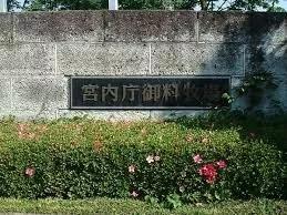 带货女王有哪些,轻奢高端女包名牌正品高颜值