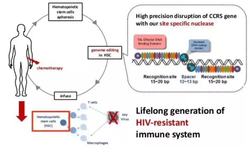 基因编辑值得投资吗,基因检测行业如何分析