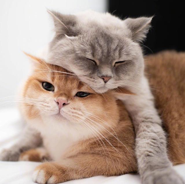 幽默笑话看一遍笑一遍专治不开心,动态幽默笑话最新