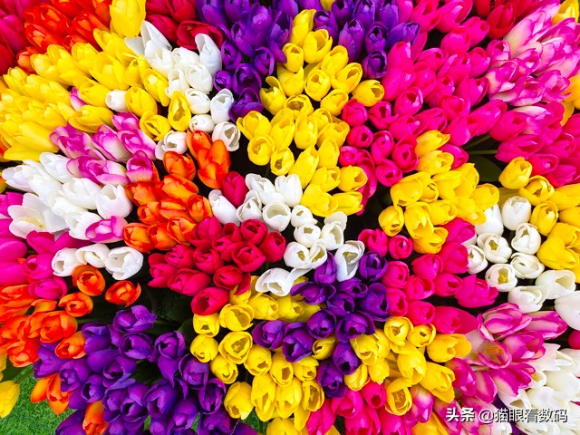 vivox27拍照长曝光效果,vivox27测评拍照