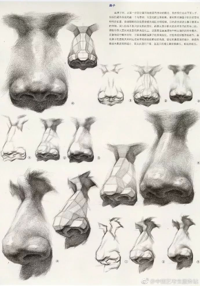 优质素描,优质素描静物