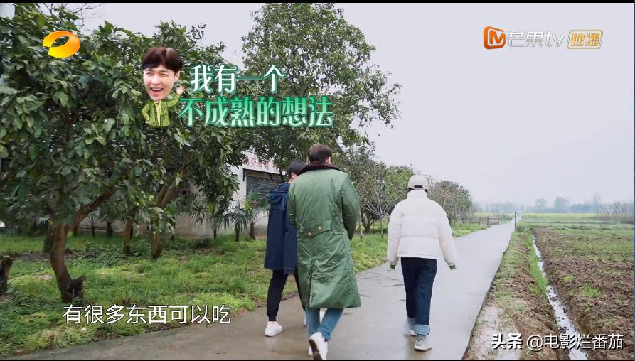 向往的生活收官期待下一季,追完一整部剧为什么越来越困难