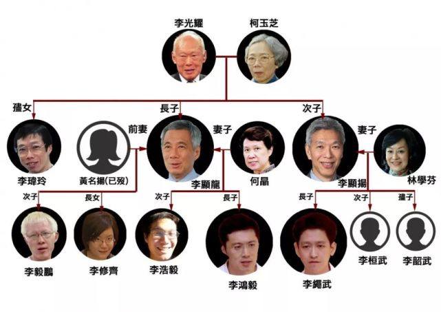 新加坡李家历史,新加坡怎样看待李家王朝