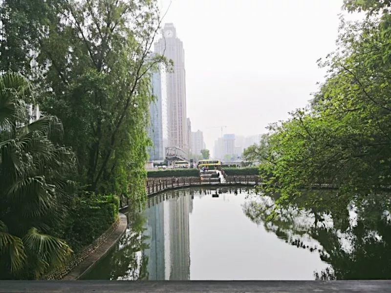 住在南门的人,收藏夹里藏了啥